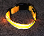 Anti-Lost LED Luminous Dog Collar - Image 2