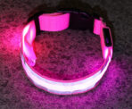 Anti-Lost LED Luminous Dog Collar - Image 3