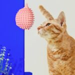 Cat Corner Scratcher for Home Furniture Protection